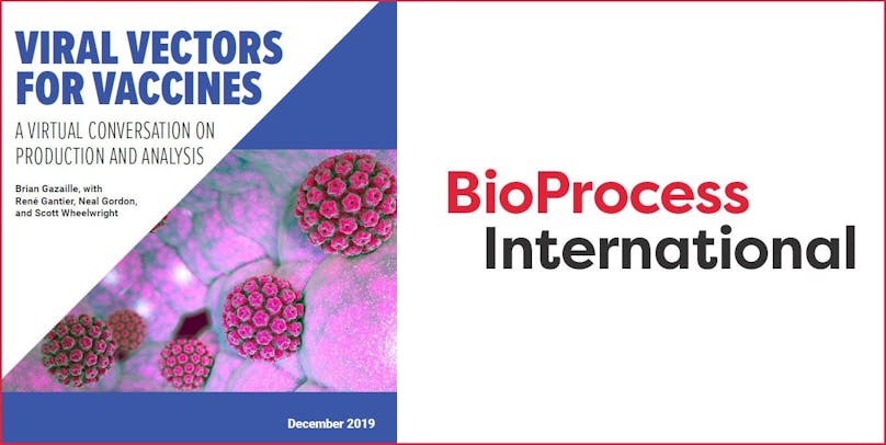 Viral vectors for vaccines: A conversation on production and analysis