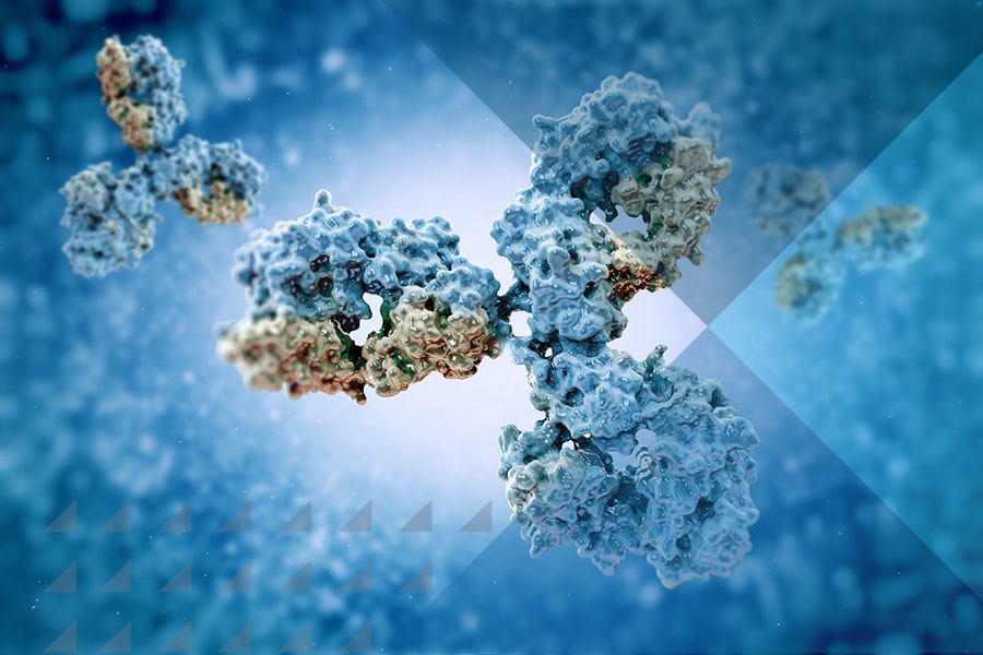 иммуноглобулина антитела к микоплазме