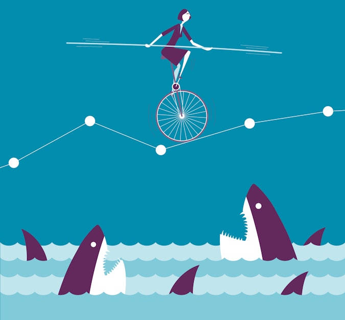 Capturing and modelling emerging risks