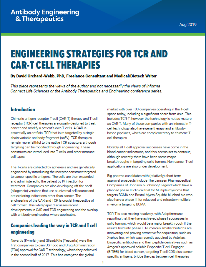 Engineering Strategies For Tcr And Car T Cell Therapies Whitepaper