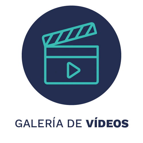 Video Gallery