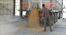 Seralarda Sürdürülebilirlik Neden Her Zamankinden Daha Önemli?
