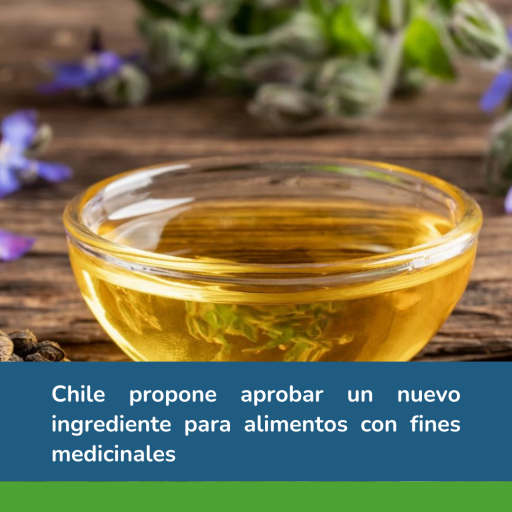 alimentos con fines medicinales