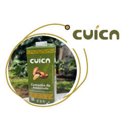 Leite vegetal de castanha da Amazônia