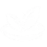 Opção de comida vegetariana e vegana