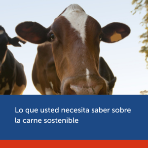 Cópia de Cópia de Cópia de Cópia de Cópia de Cópia de Cópia de Cópia de Cópia de Marketing digital para heladerías: como usar las redes sociales para vender más