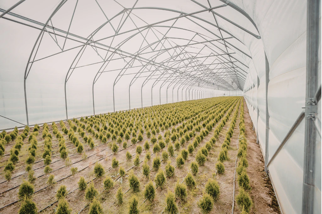 Controlled environment agriculture featuring greenhouse crop production and indoor farming systems