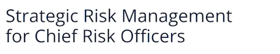 Strategic Risk Management for Chief Risk Officers