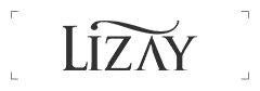 Lizay logo
