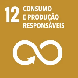 12 consumo e producao responsaveis