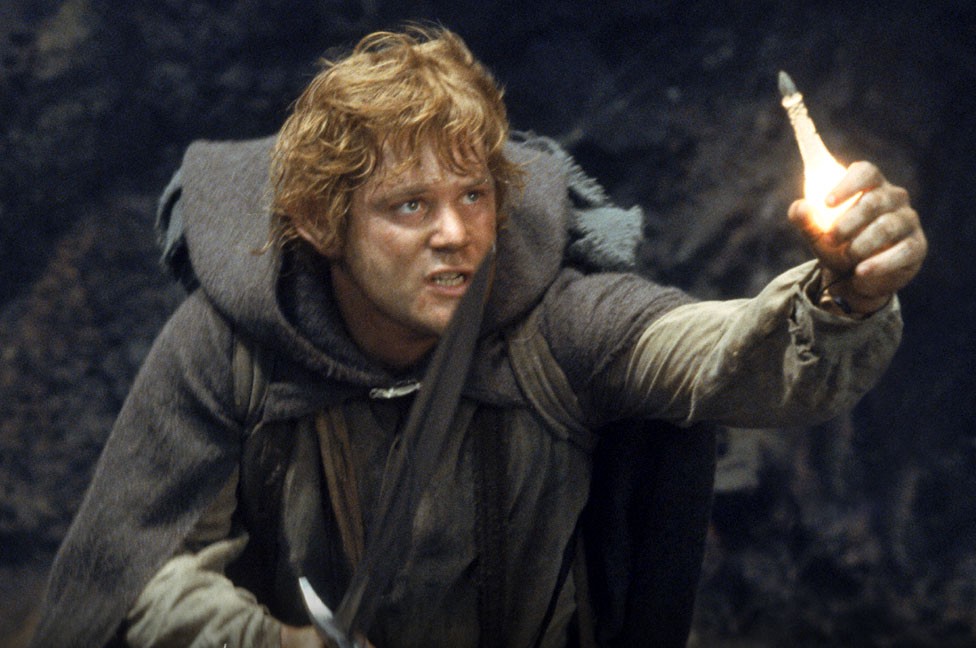 Samwise from Lord of the Rings