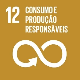 Consumo e producao responsaveis