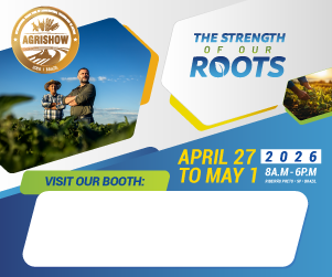 Kit Expositor Banner