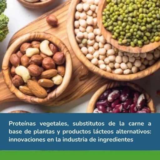 carne a base de plantas y