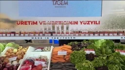 Sustainability Zone