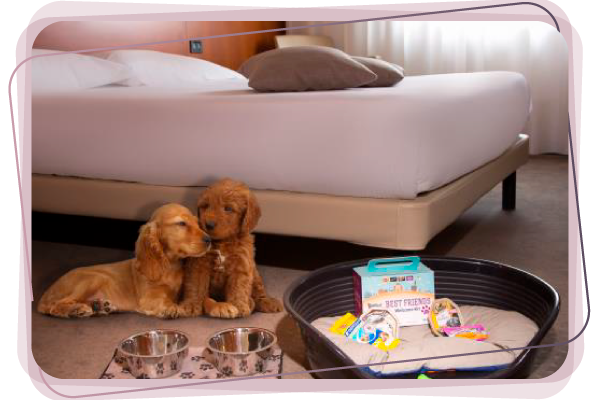 admitan a sus mascotas