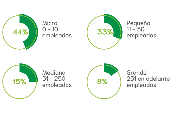 Tamaño de la organización