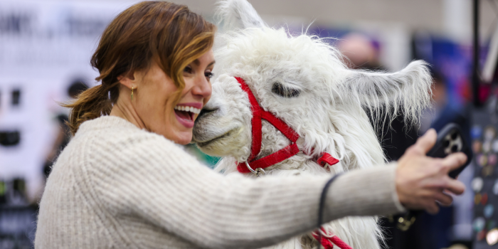 EMILY SWALLOW MEETS A NEW PAL. WHILE TAKING A PHOTO WITH CAESAR THE NO DRAMA LLAMA, THE LLAMA GIVES EMILY A KISS ON THE CHEEK.