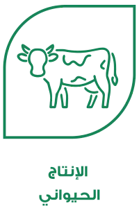 قطاعات المعرض