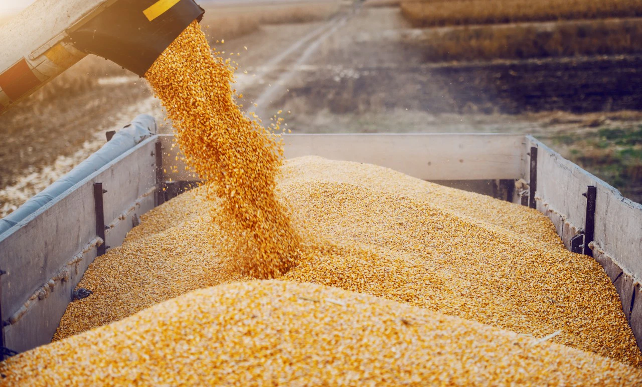 Food safety and contamination control