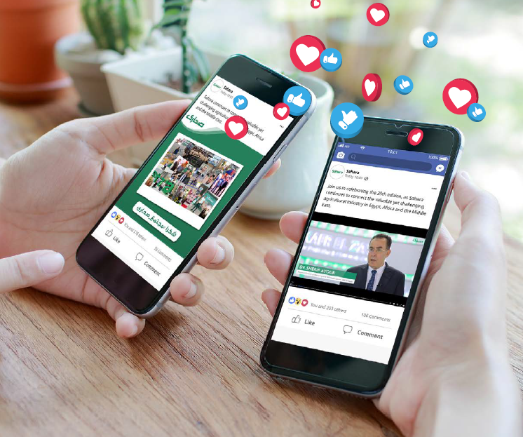 Social Media Shoutouts