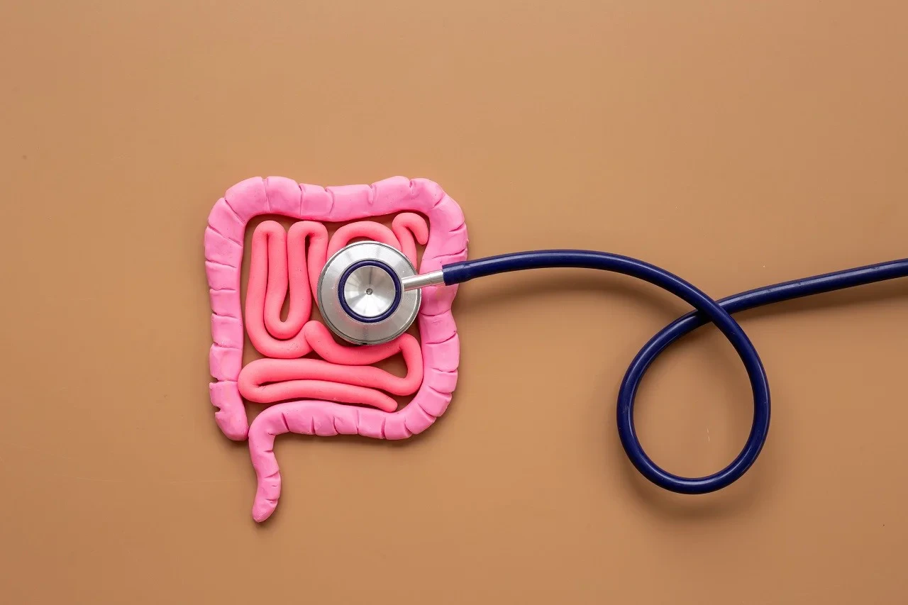 Gut Health In Food