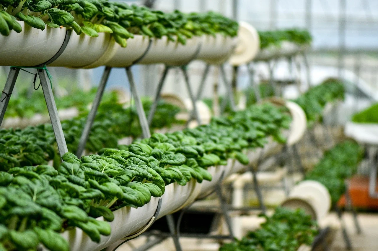 Building Sustainable Brands