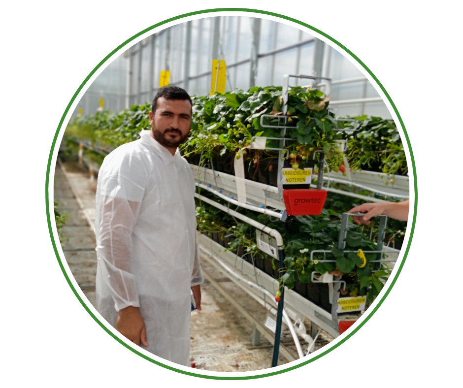 Khaled Moubarak - Agriculture consultant in hightech greenhouses and soilless agriculture