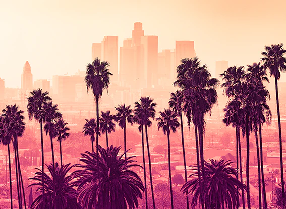 Story of Anaheim