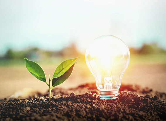 Innovation and Sustainability