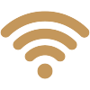 Wireless Internet