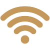 Wireless Internet