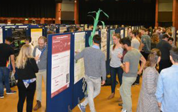 Poster Presentations