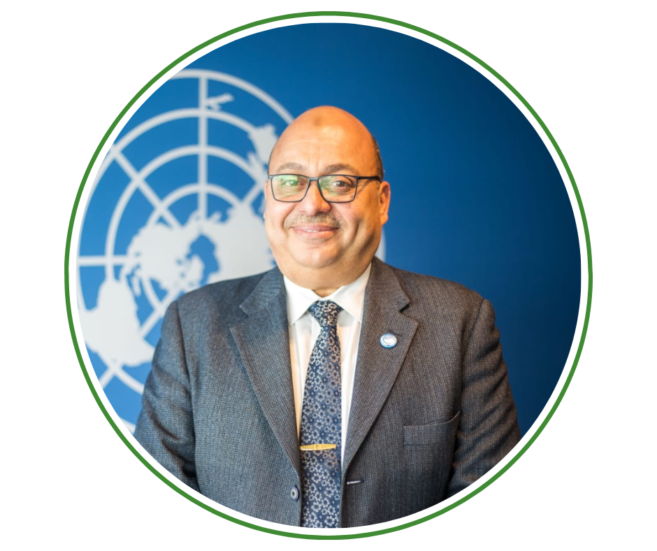 Prof. Dr. Ahmed Abd El-Atti