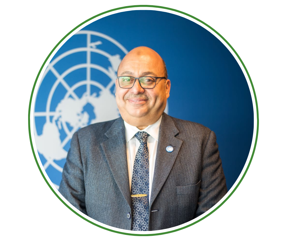 Prof. Dr. Ahmed Abd El-Atti