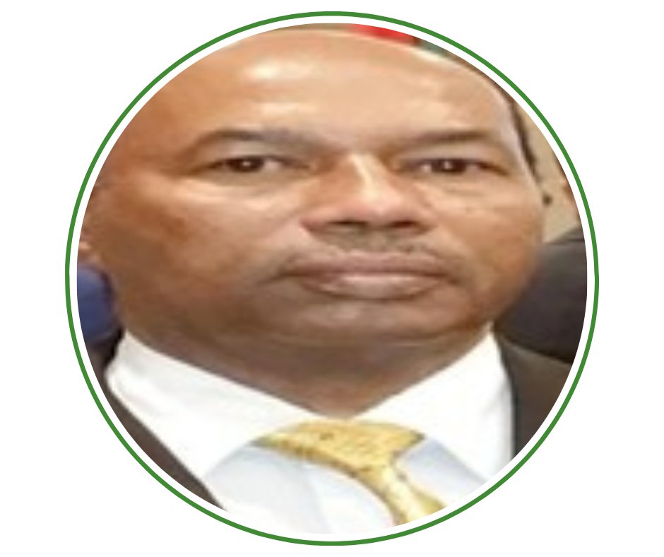 Dr. Adil Abdelaziz Elfaki