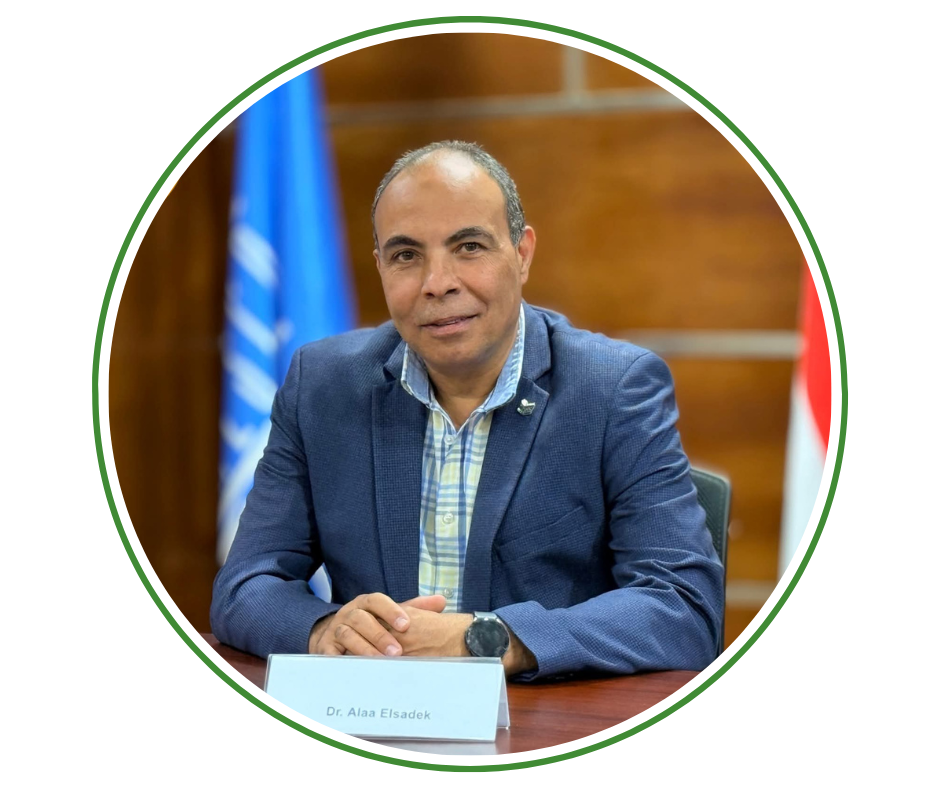 Prof. Alaa El-Sadek
