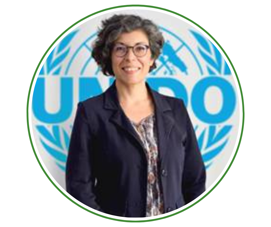 السيدة إيبي موسكيالي - مديرة برنامج، اليونيدو – الاتحاد الأوروبي “TIGARA”