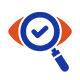 Practical Validation Strategies Icon