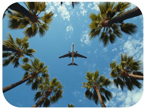 Transportation