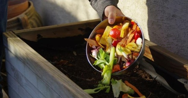 Fispal Food Service y Fispal Sorvetes