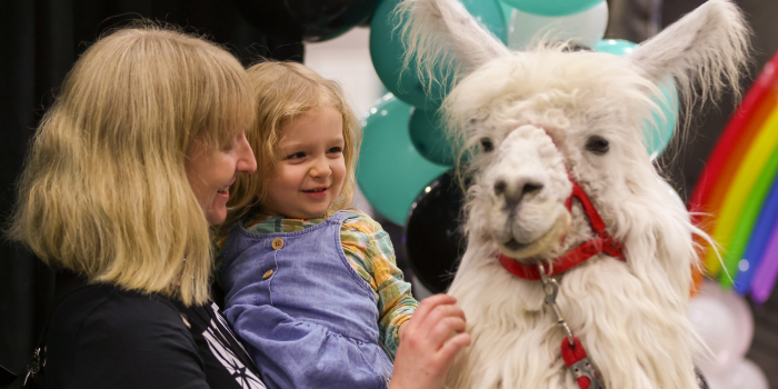 An adult and child pose with and reach out to pet a white llama.