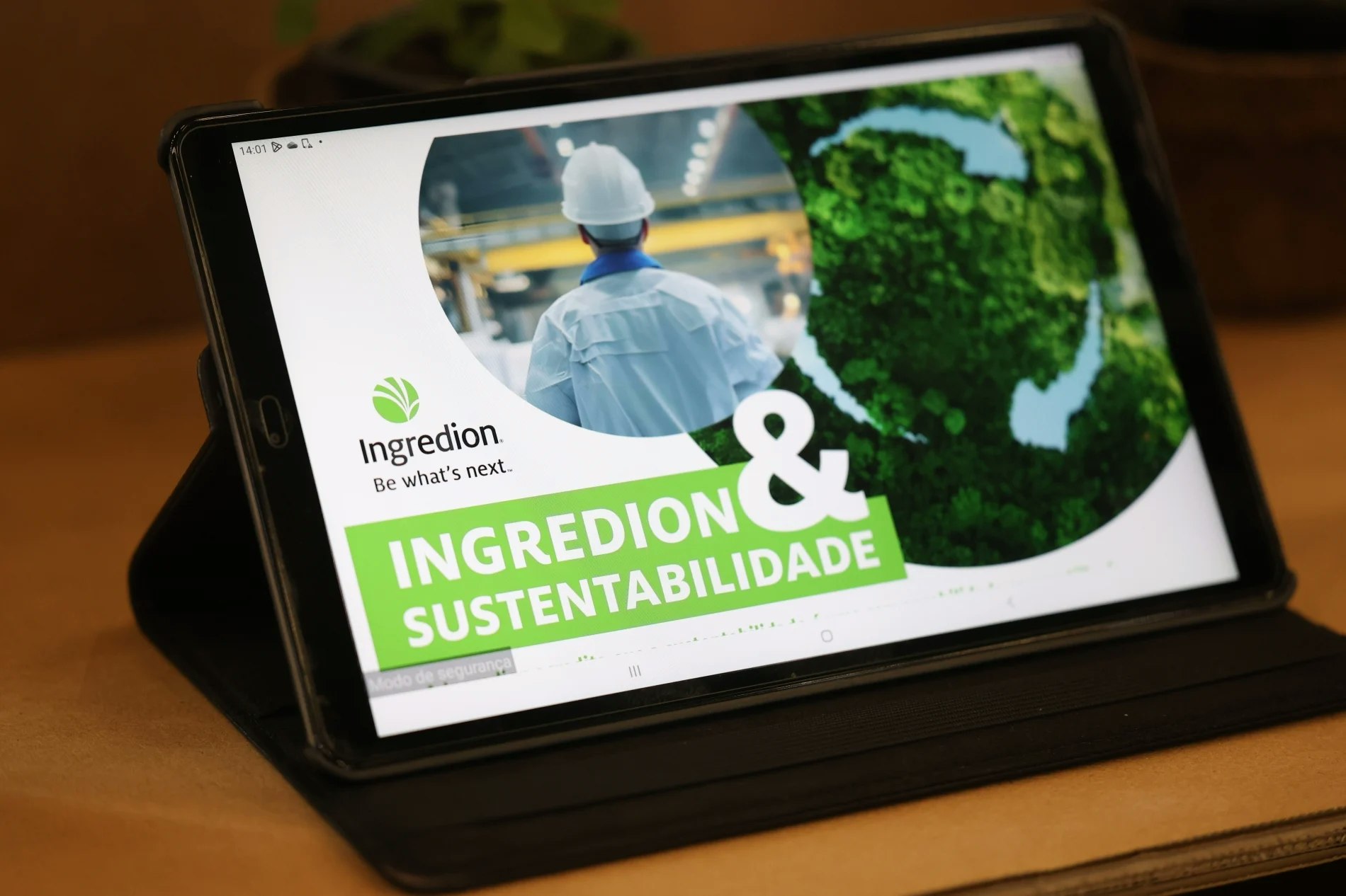 Sustainability Experience 2