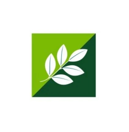 Hi & Fi Asia china exhibition