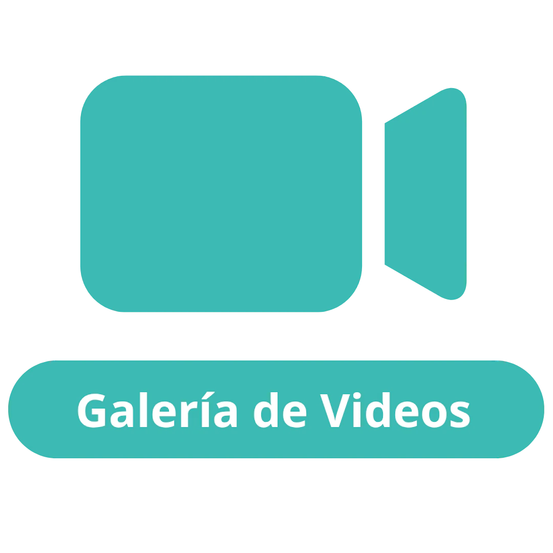 Galería de vídeos