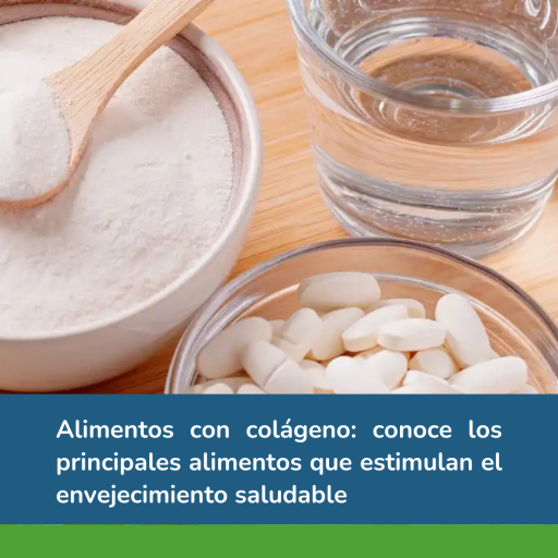 alimentos con colageno