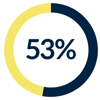 53% icon