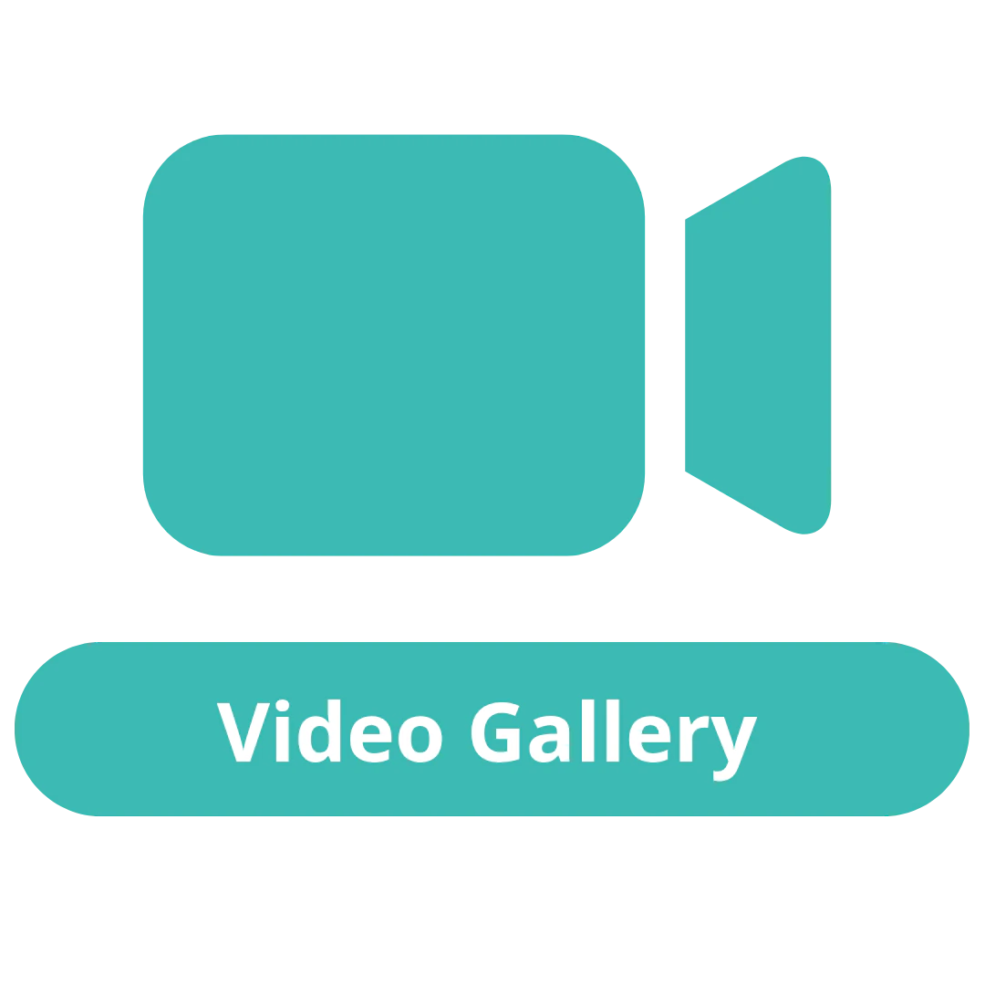 Video Gallery