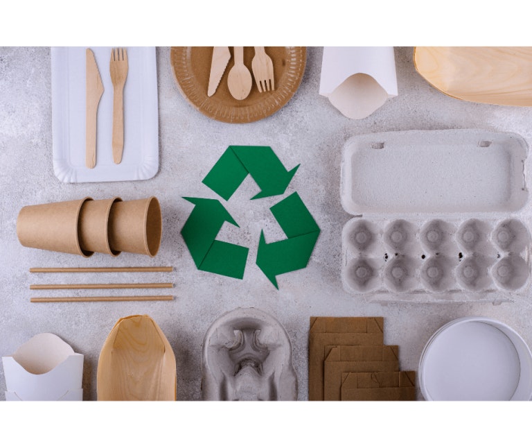 Sustainability