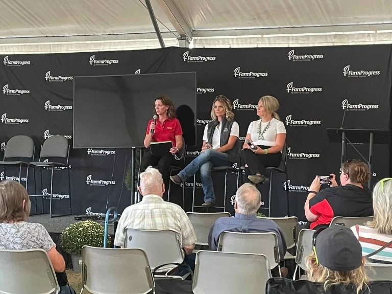 Diversity, Inclusion and Accessibility